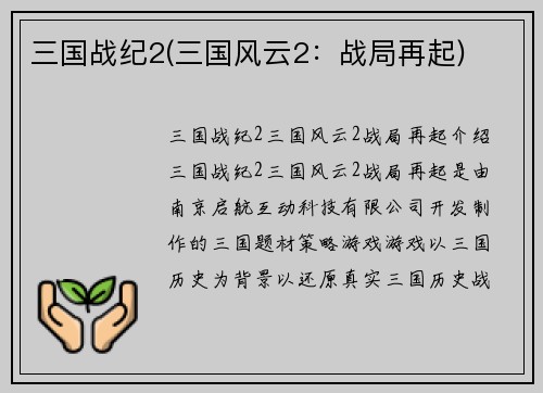 三国战纪2(三国风云2：战局再起)